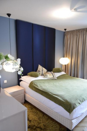Гостиница Top View Apartament, Брашов